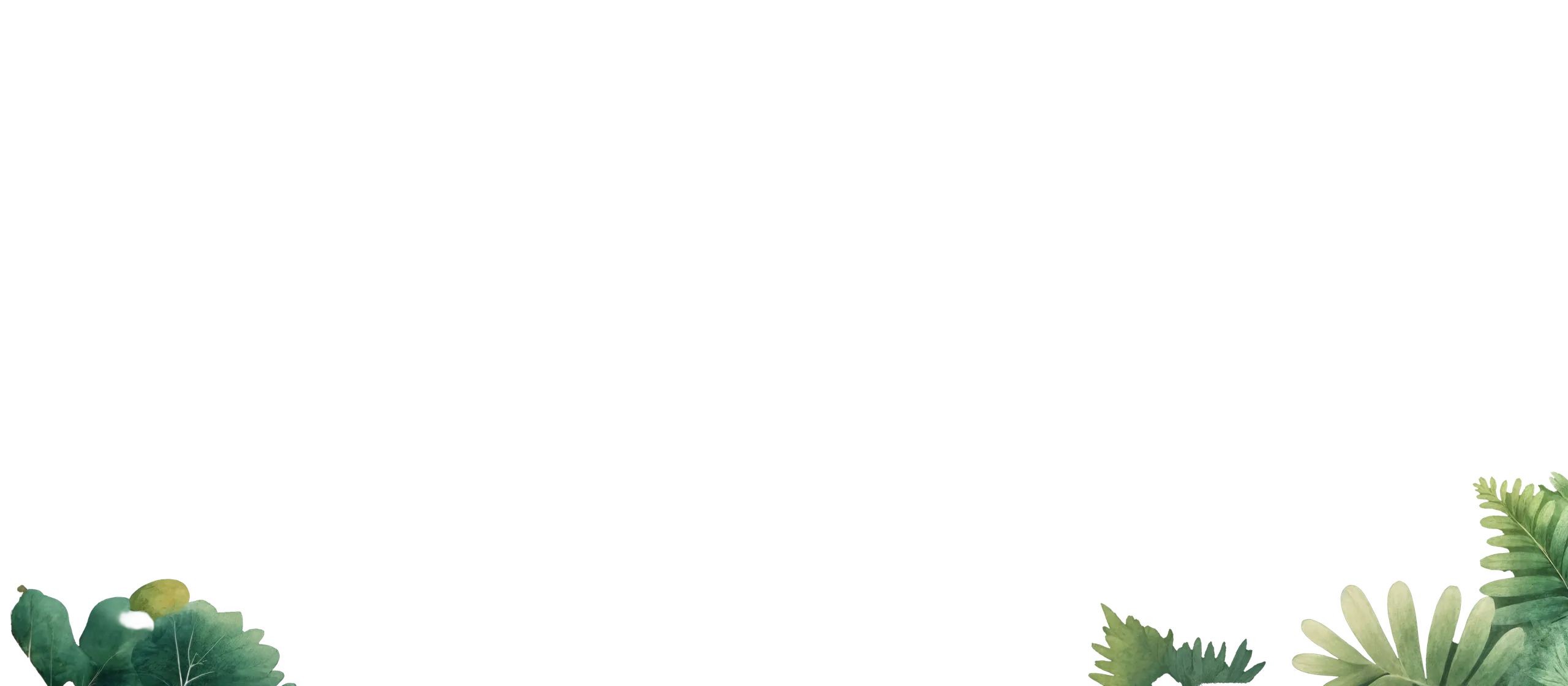 Foreground Ferns